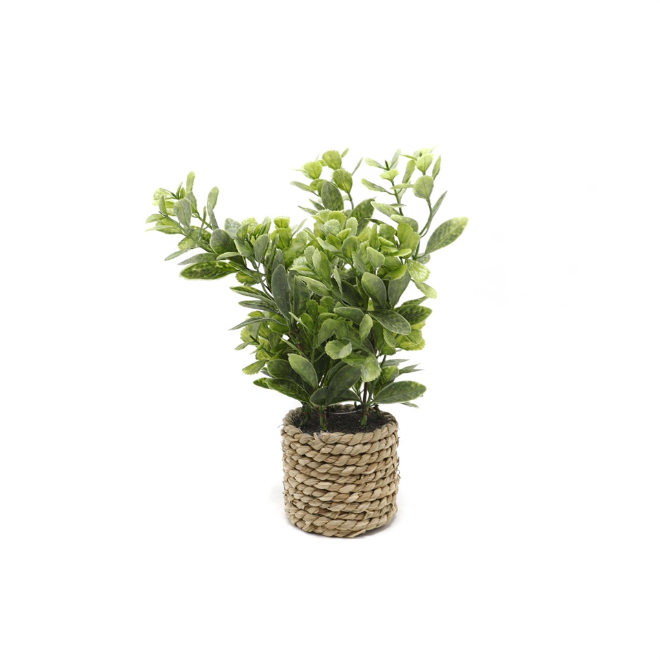 Hot Selling Artificial Green Plant Bonsai Good-Looking Outdoor Decoration Green Plant Simulation Bonsai Grass Braid Rope Medium Bonsai