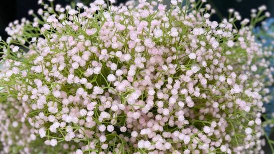 Preço de fábrica Flor Artificial Gypsophila Babysbreath para cenário de decoração de casamento