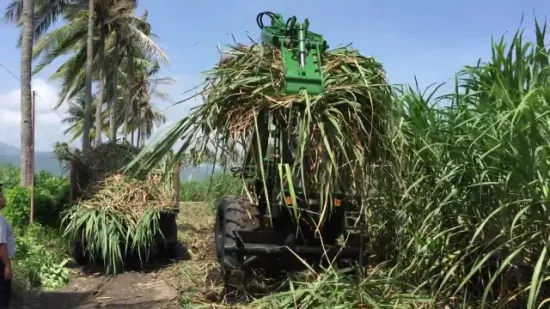 Equipamento de carregamento de garra agrícola para carregadeira de cana-de-açúcar da marca Hongyuan